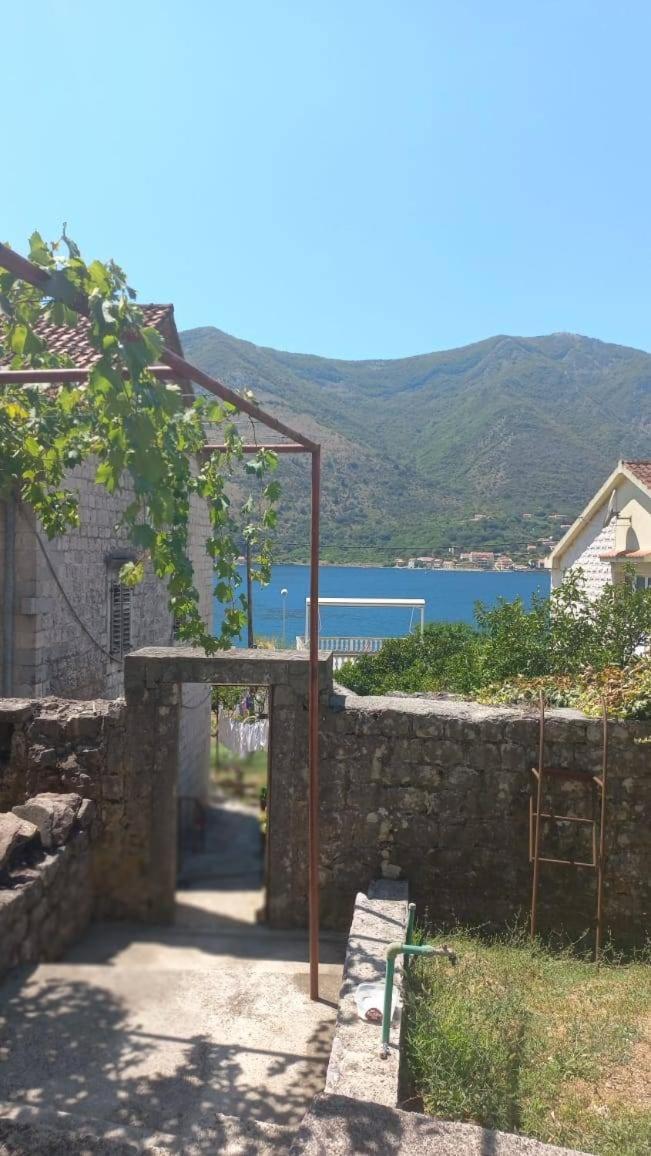 Apartments Vukasovic Cattaro Esterno foto