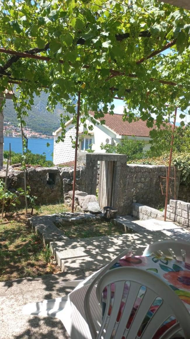 Apartments Vukasovic Cattaro Esterno foto